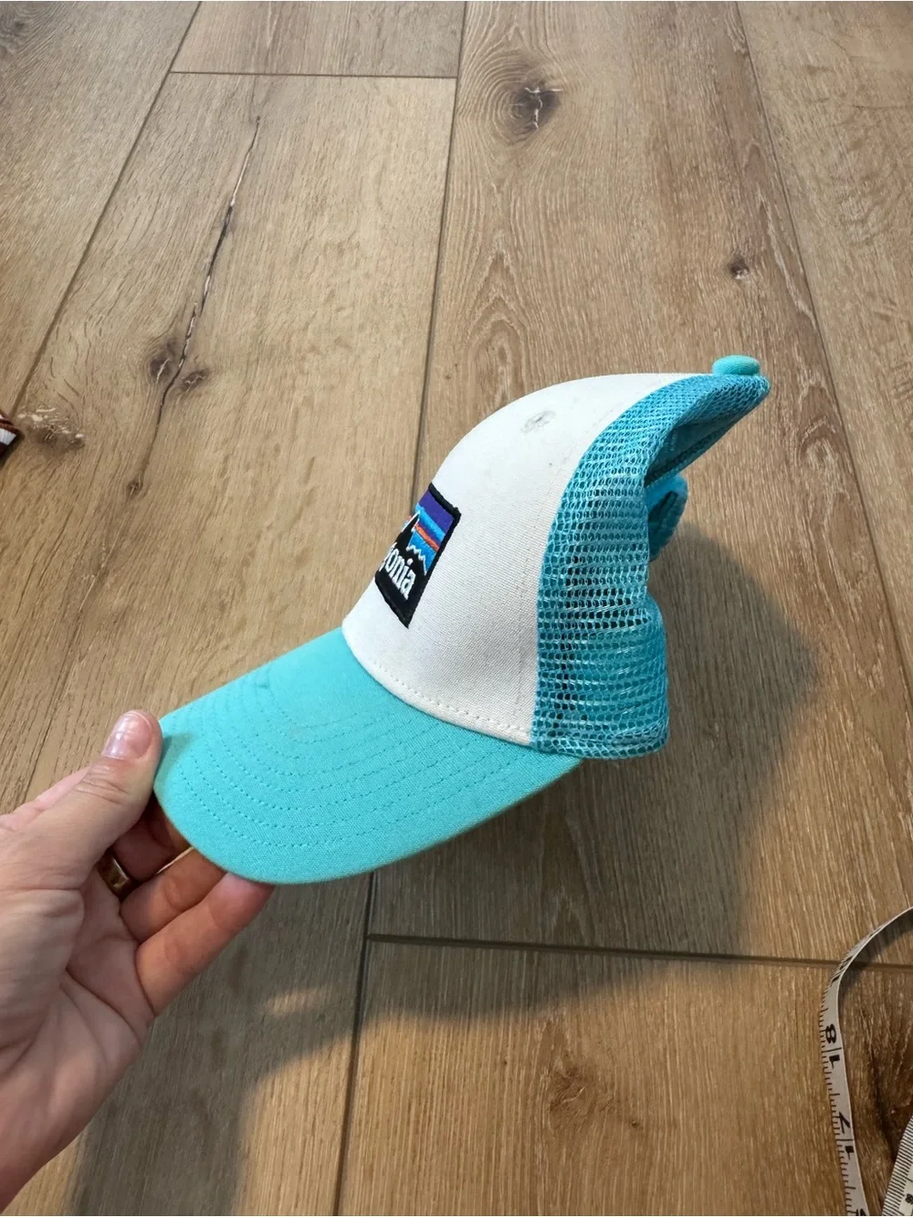 Patagonia logo trucker